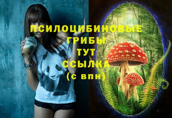 мескалин Майский